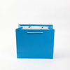 Eco-Friendly Custom Printed Art Paper Shopping Bags for Retail