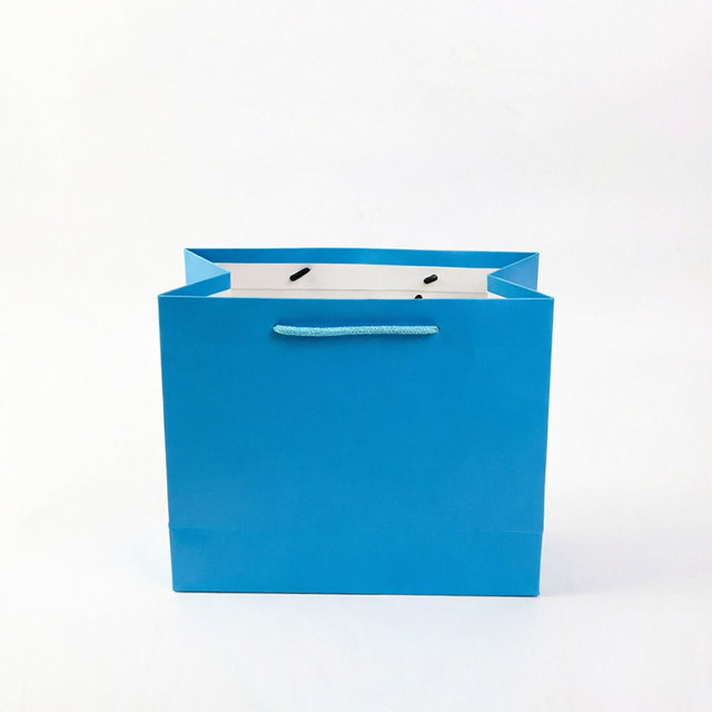 Eco-Friendly Custom Printed Art Paper Shopping Bags for Retail