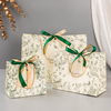 High-Quality Pantone Color Gift Bags for Eco-Friendly Packaging