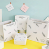 Stylish Custom Paper Hand Bags for Memorable Gift Giving