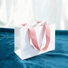 Eco-Friendly Custom Paper Bags for Shopping and Promotion
