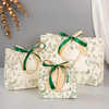 High-Quality Pantone Color Gift Bags for Eco-Friendly Packaging