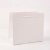 Eco-Friendly Custom Printed Art Paper Shopping Bags for Retail