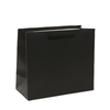 Eco-Friendly Custom Printed Art Paper Shopping Bags for Retail