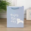 Eco-Friendly Art Printing Paper Bags for Stylish Shopping