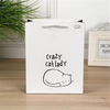 Eco-Friendly Art Printing Paper Bags for Stylish Shopping
