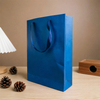Custom Printed Shopping Paper Bags for Stylish Retail Packaging