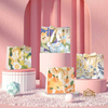 Stylish Art Paper Bag for Jewelry and Garment Printing