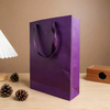 Custom Printed Shopping Paper Bags for Stylish Retail Packaging