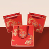 High-Quality Printed Paper Bags for Shoes and Apparel