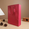 Custom Printed Shopping Paper Bags for Stylish Retail Packaging